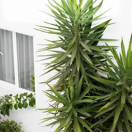 La Boutique Puerta Osario 3*