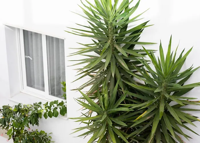 La Boutique Puerta Osario 3*